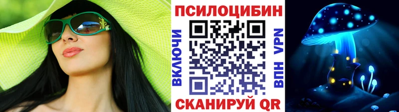 закладка  Рудня  Псилоцибиновые грибы Cubensis 